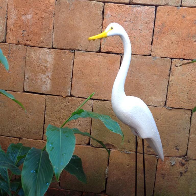 Jardim Secreto Villa Morro de Sao Paulo Ngoại thất bức ảnh