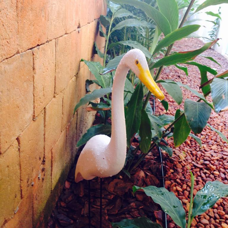 Jardim Secreto Villa Morro de Sao Paulo Ngoại thất bức ảnh