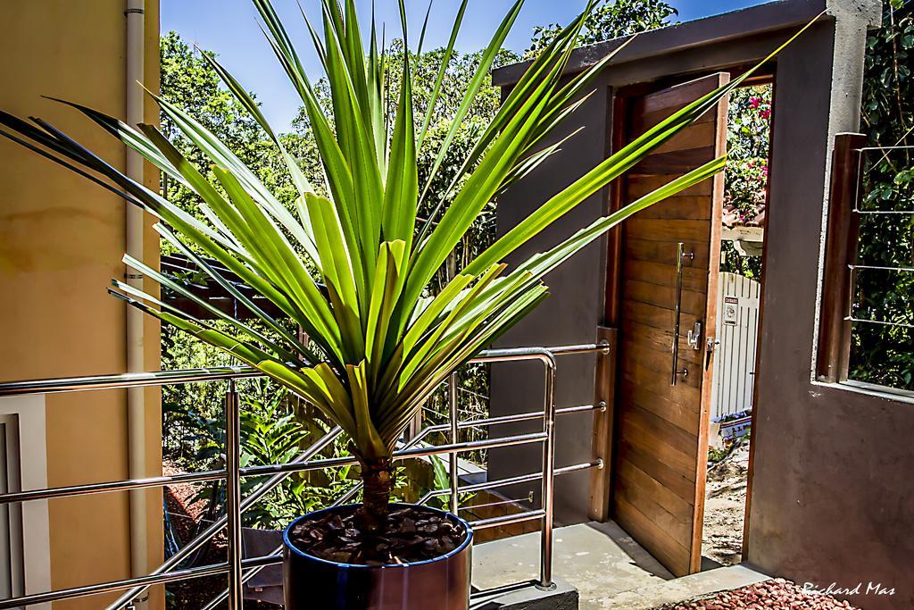 Jardim Secreto Villa Morro de Sao Paulo Ngoại thất bức ảnh